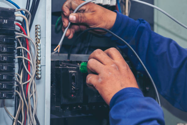 Best Local Electrician Companies  in Frederic, WI